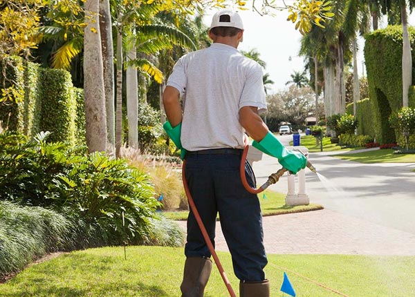 About Brodnax VA Pest Control Pros